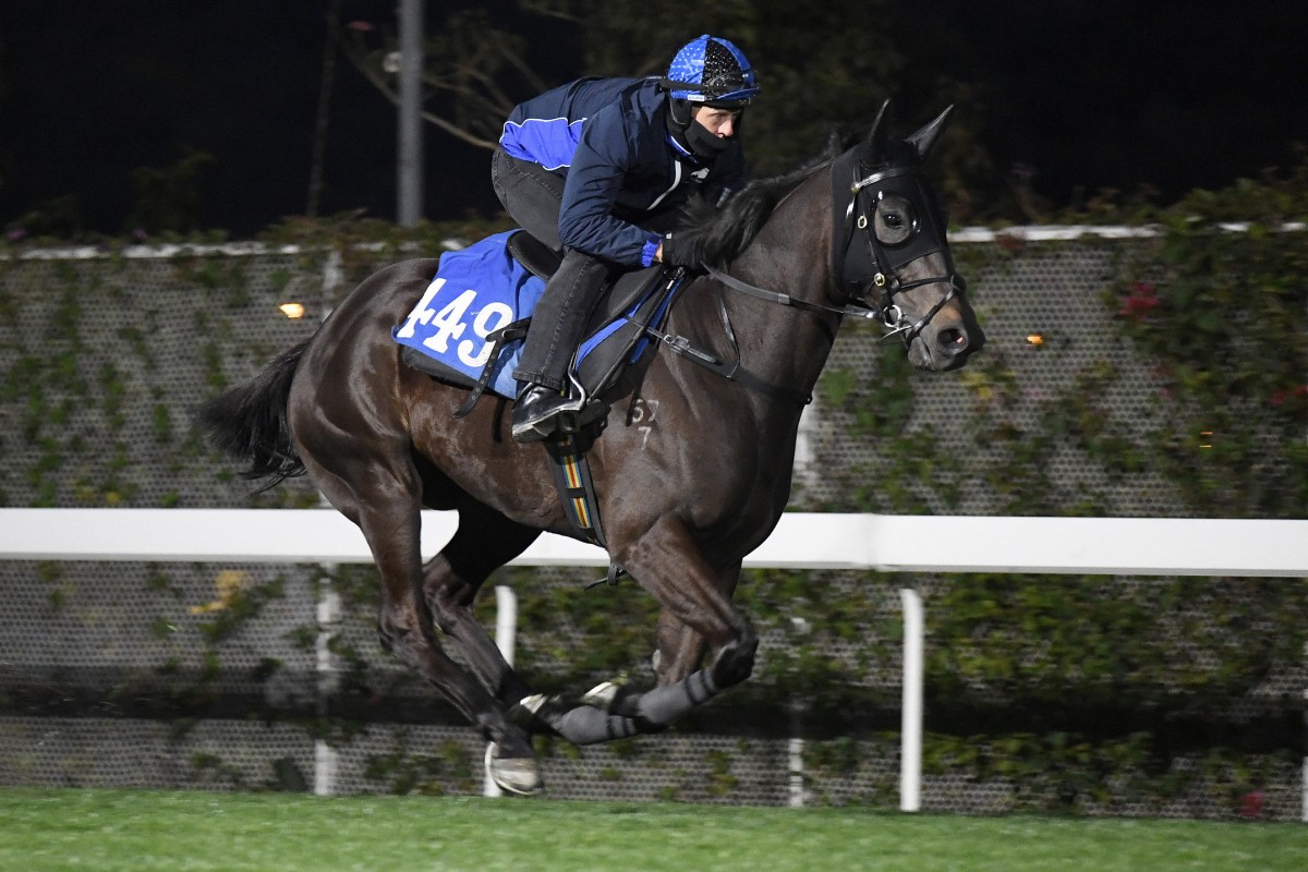 Trainer Mark Newnham partners Courier Wonder in a gallop on Thursday morning. Photos: Kenneth Chan