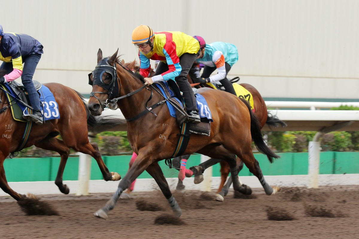 Hugh Bowman partners Wellington in an all-weather trial at Sha Tin earlier this month. Photo: Kenneth Chan
