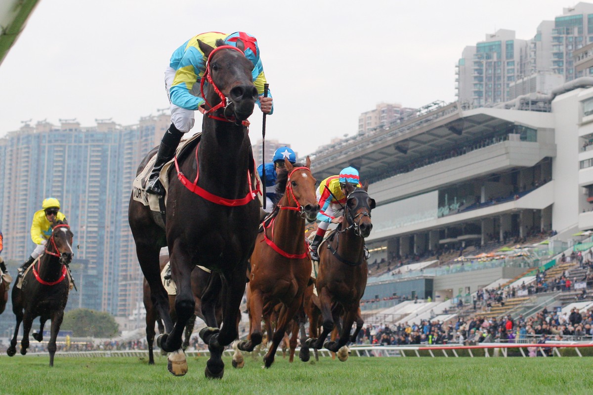 Victor The Winner passes the Sha Tin winning post in front in Sunday’s Group One Centenary Sprint Cup (1,200m). Photos: Kenneth Chan