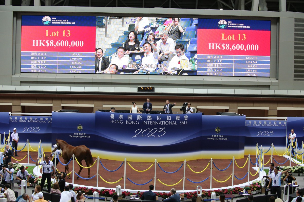 The 2023 Hong Kong International Sale at Sha Tin. Photos: Kenneth Chan
