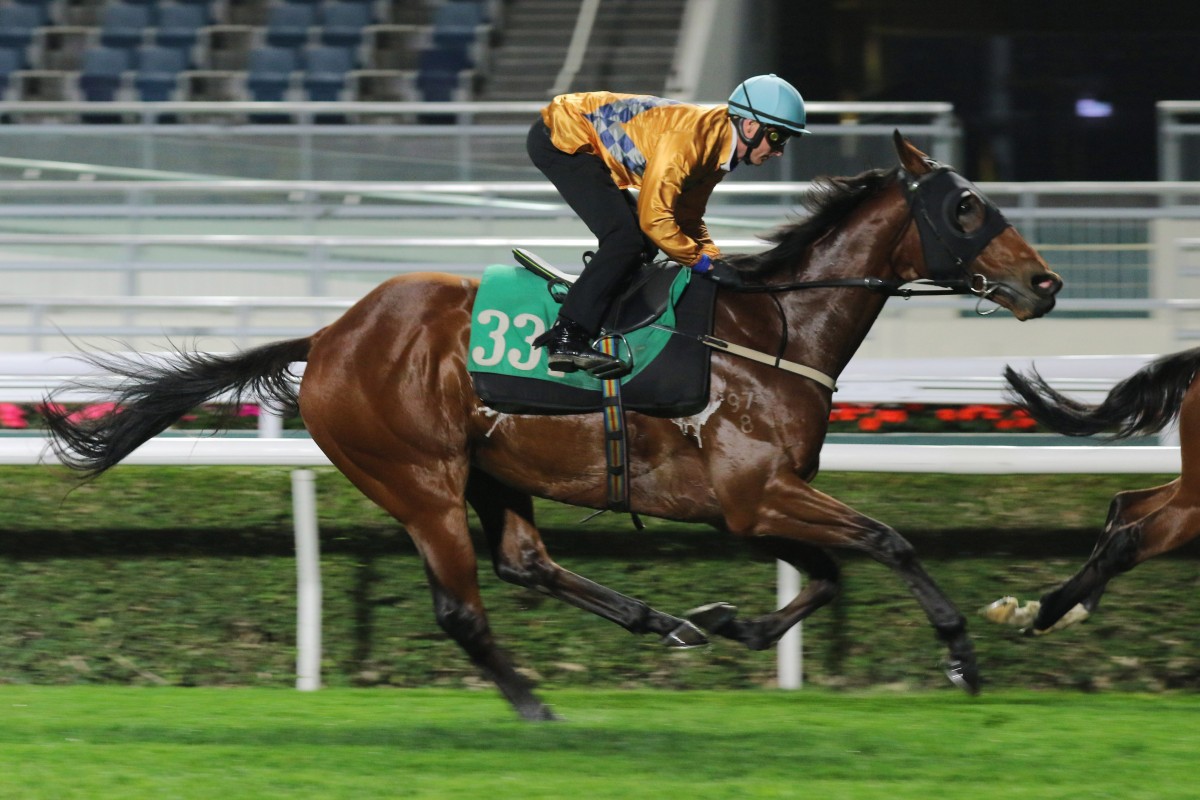 Global Harmony trials under Zac Purton earlier this month. Photos: Kenneth Chan