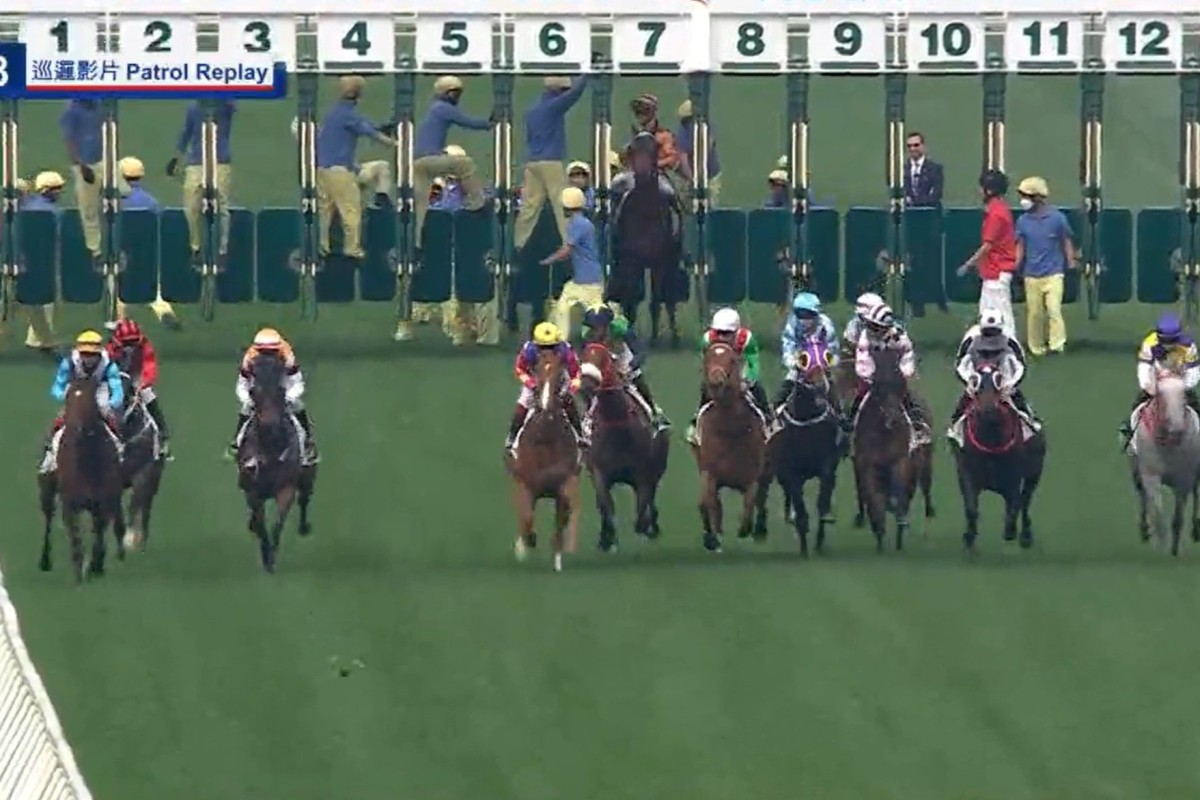 Global Harmony stands in the gates at Sha Tin on Sunday. Photo: SCMP