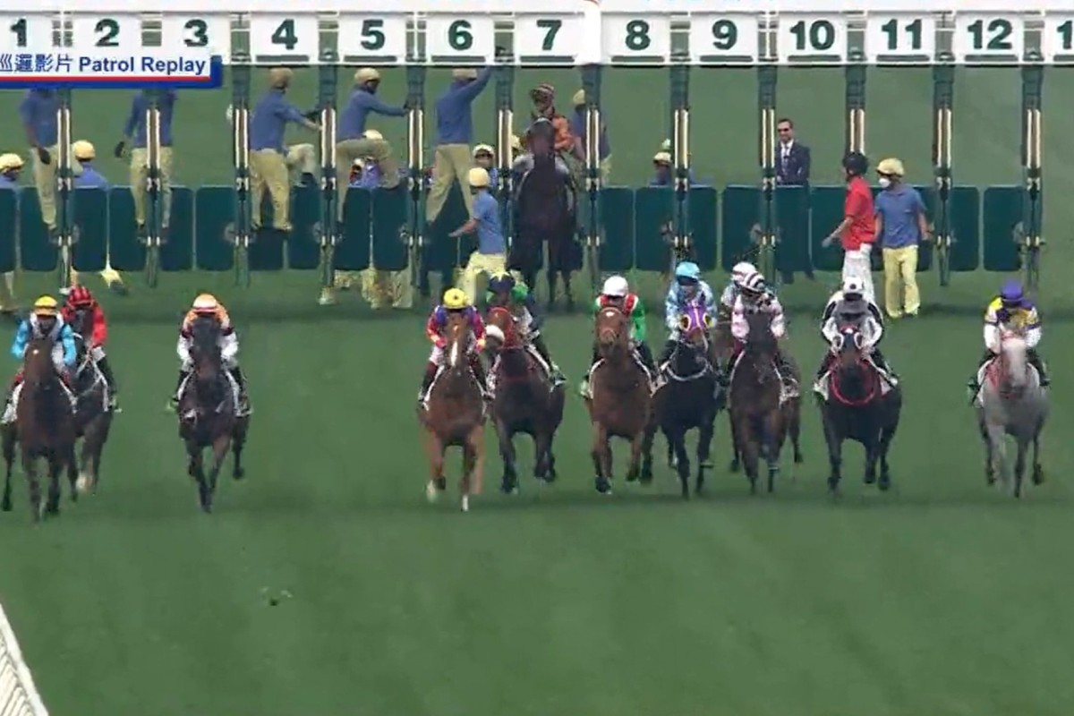 Global Harmony stands in the gates at Sha Tin on Sunday. Photo: SCMP