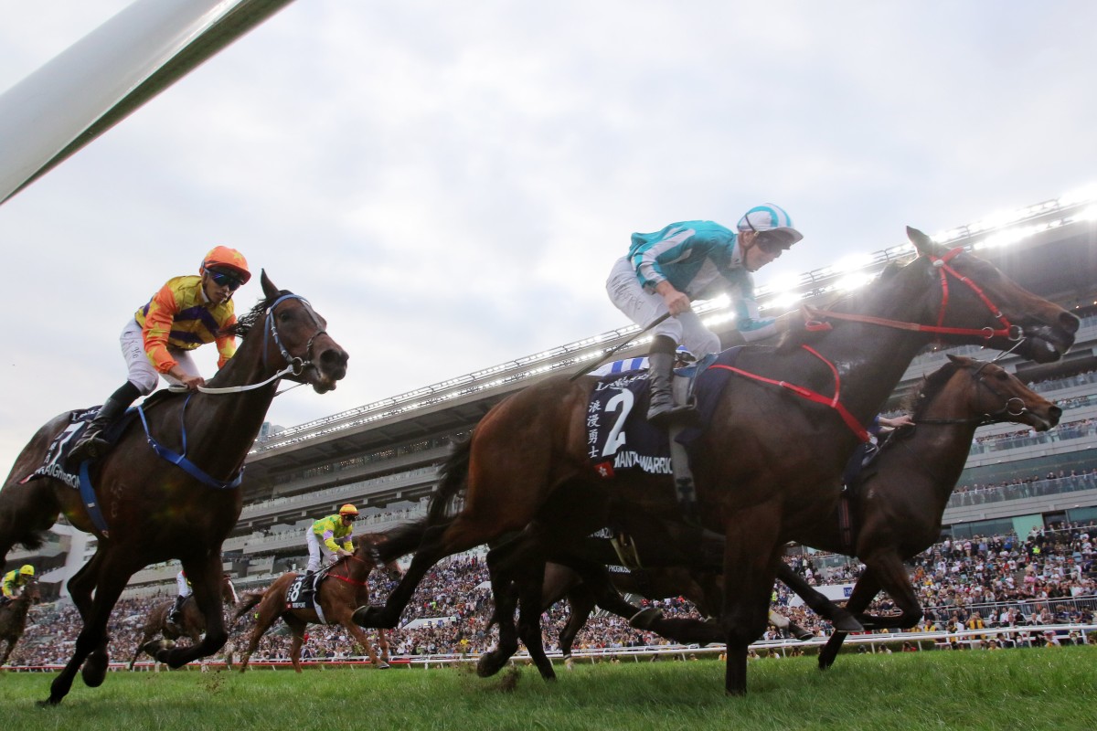 Straight Arron runs on behind Romantic Warrior to finish fourth in December’s Group One Hong Kong Cup (2,000m). Photo: Kenneth Chan