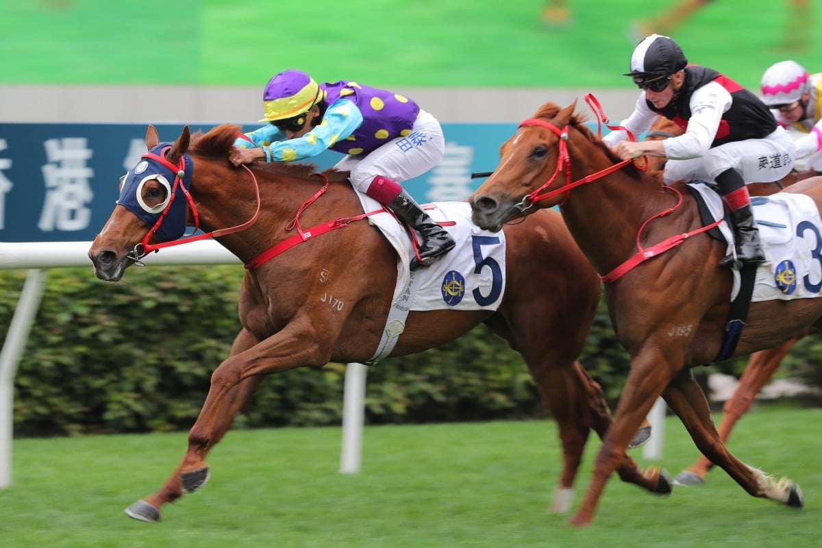 Illuminous records a debut victory over 1,200m at Sha Tin earlier this month. Photo: Kenneth Chan