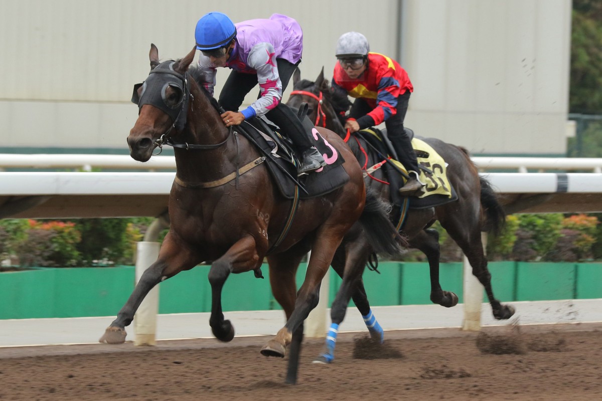 Star Mac relishes the addition of blinkers to win a Sha Tin trial under Karis Teetan. Photos: Kenneth Chan