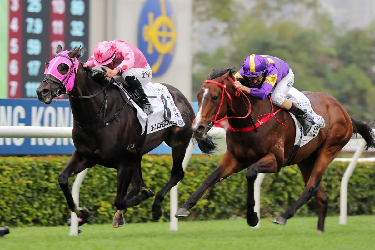 Helios Express, right, chases down Chancheng Glory to win the Classic Cup. Photos: Kenneth Chan