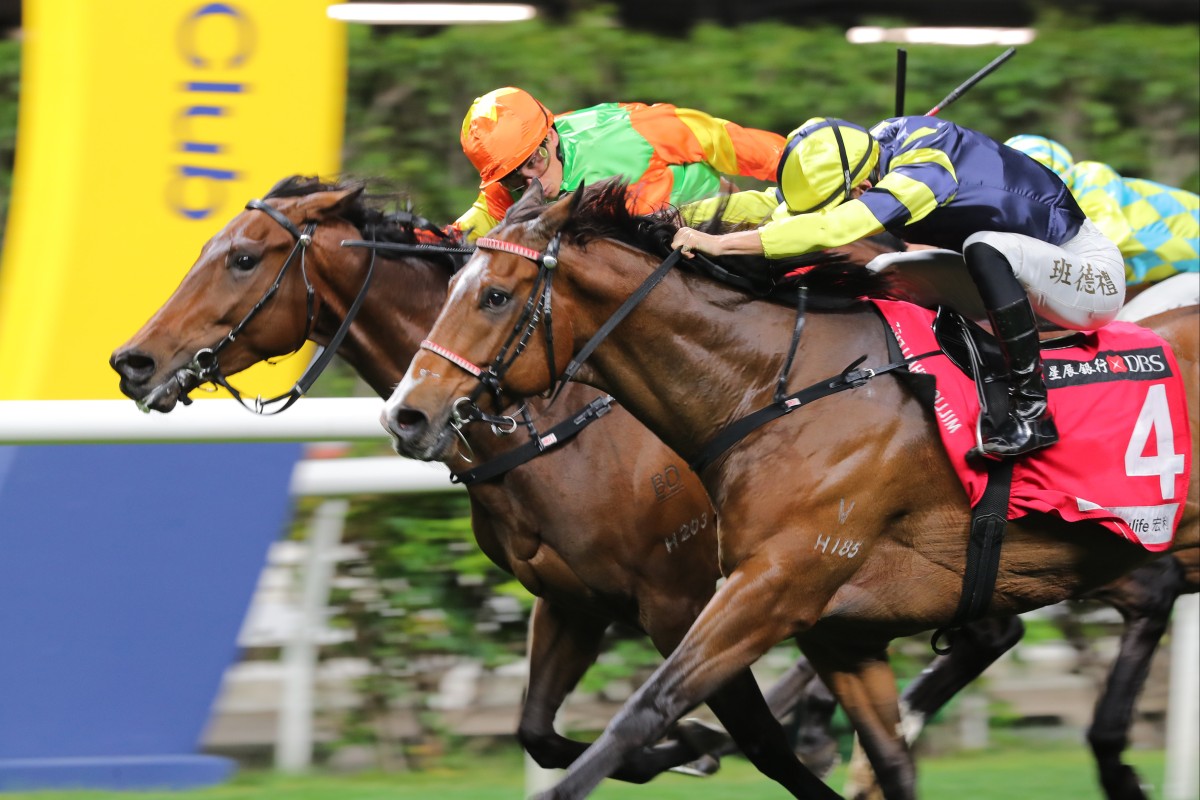 Watch Buddy (outside) bags back-to-back Happy Valley wins under Harry Bentley last month. Photo: Kenneth Chan