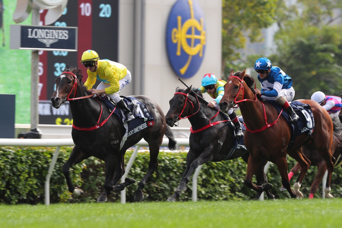 Lucky With You (right) trails home Lucky Sweynesse in December’s Group One Hong Kong Sprint (1,200m). Photo: Kenneth Chan