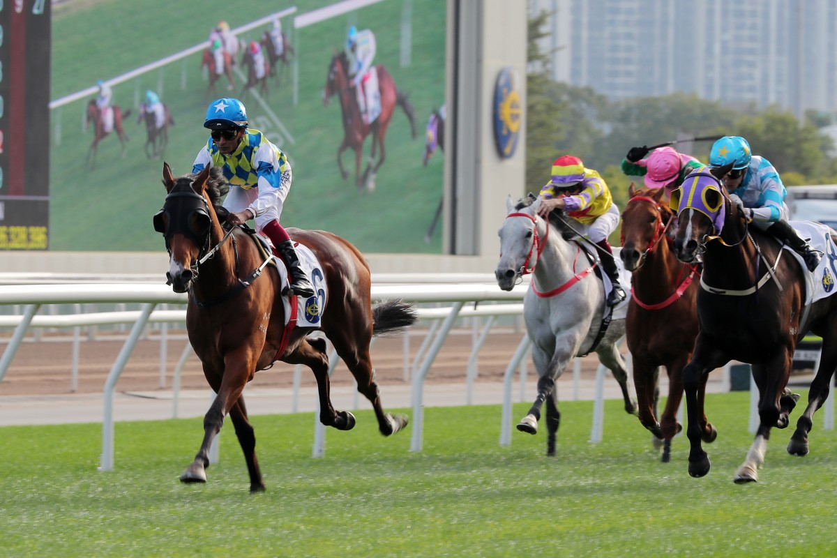 Galaxy Patch storms to victory at Sha Tin in January. Photos: Kenneth Chan