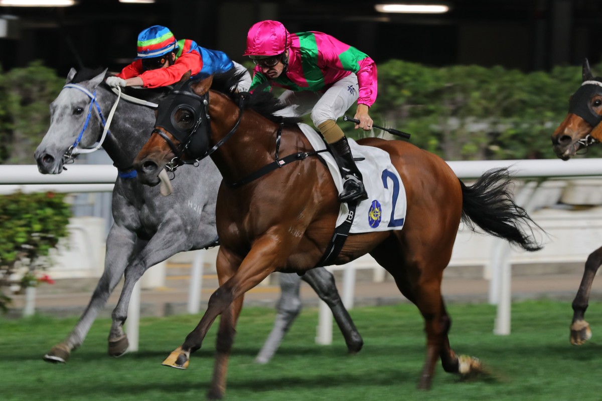 Celestial Colours chases back-to-back wins at Happy Valley on Wednesday night. Photos: Kenneth Chan