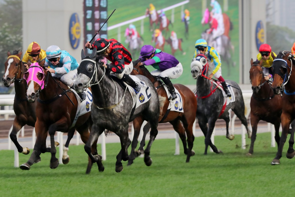The field thunders down the home straight at Sha Tin on Saturday. Photos: Kenneth Chan