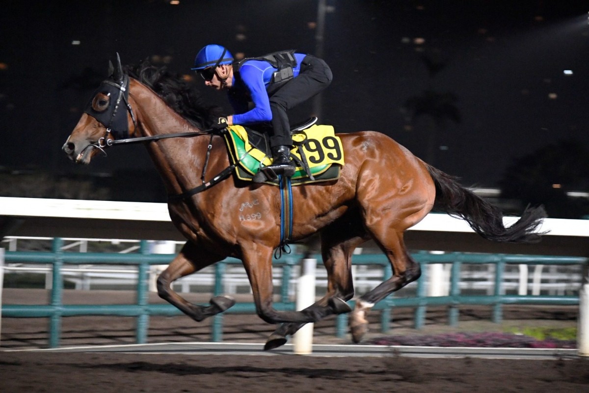 Galaxy Patch gallops under Blake Shinn at Sha Tin on Monday morning. Photo: Kenneth Chan