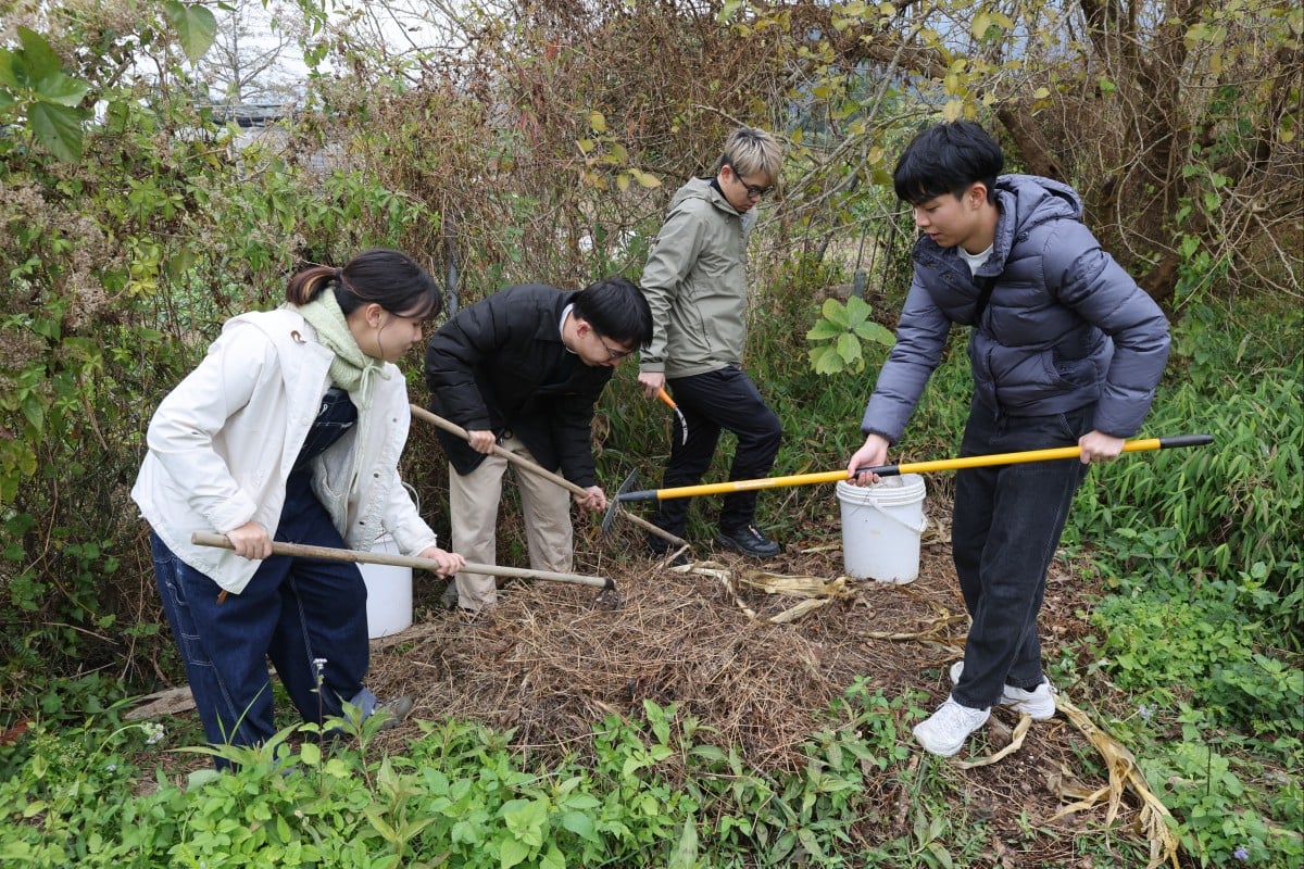 Timmy Sum (second from left) and Daren Leung (third from left) layer food scraps with carbon-rich materials in a process called hot composting. Photo: Edmond So
