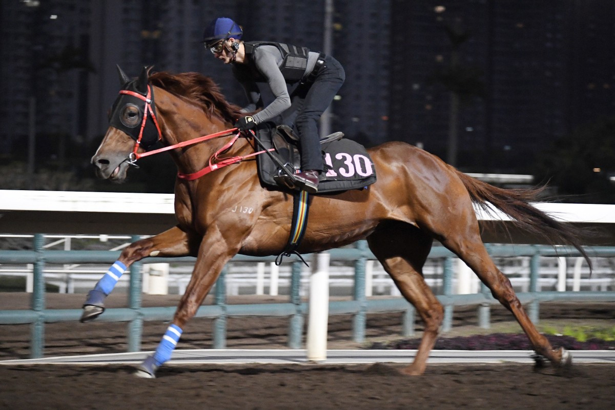 Unbelievable gallops on the all-weather track at Sha Tin ahead of the Hong Kong Derby. Photos: Kenneth Chan