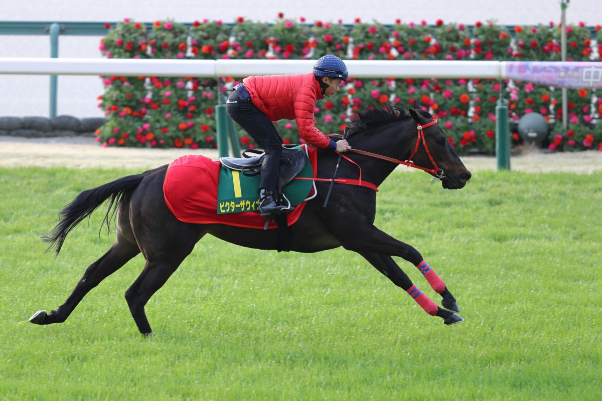 Victor The Winner gallops under Derek Leung on the Chukyo turf. Photo: Kenneth Chan