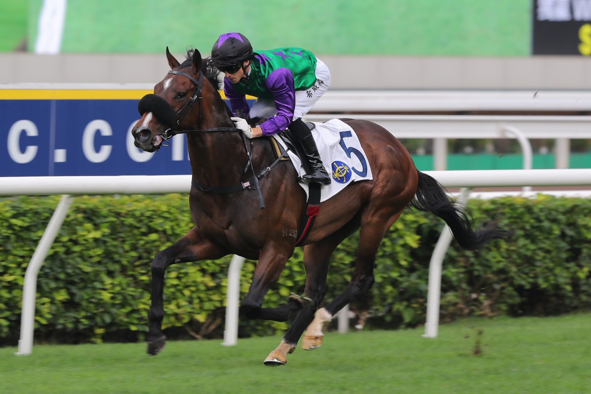 Lyle Hewitson guides Flaming Rabbit to victory at Sha Tin on Sunday. Photos: Kenneth Chan