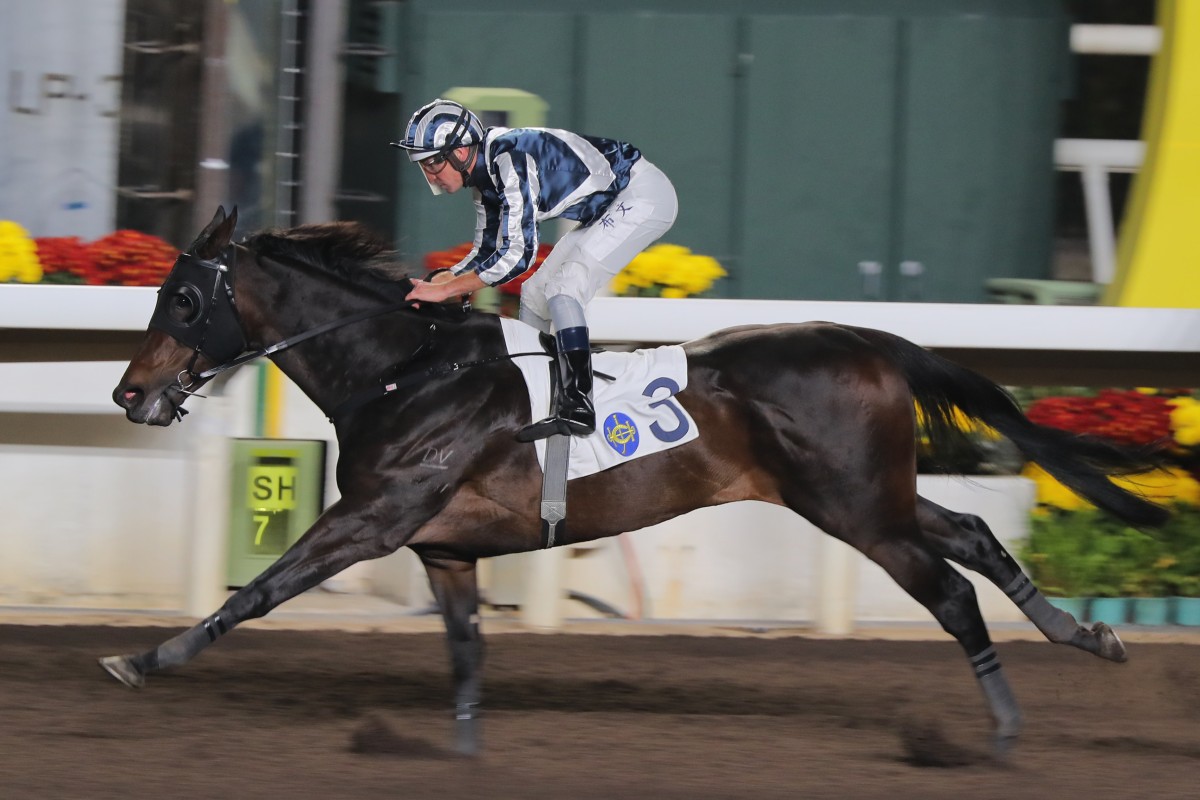 Magniac wins on the all-weather track at Sha Tin in January. Photos: Kenneth Chan