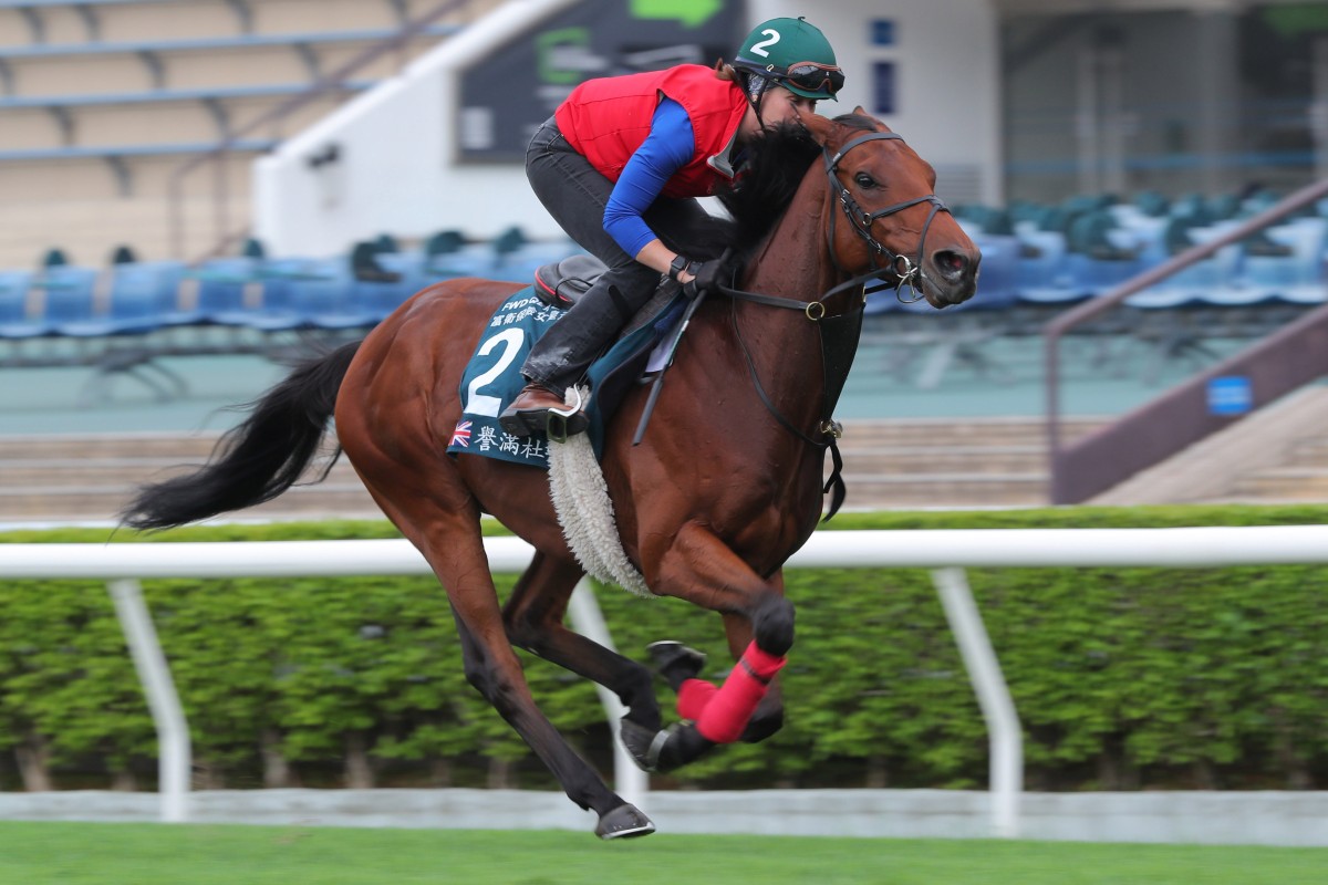 Dubai Honour, pictured working at Sha Tin in April last year, is bound for Hong Kong again. Photos: Kenneth Chan
