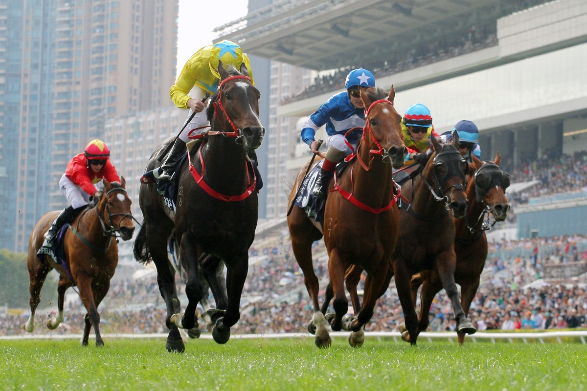 Lucky Sweynesse wins the Group One Hong Kong Sprint (1,200m) in December under Zac Purton. Photo: Kenneth Chan