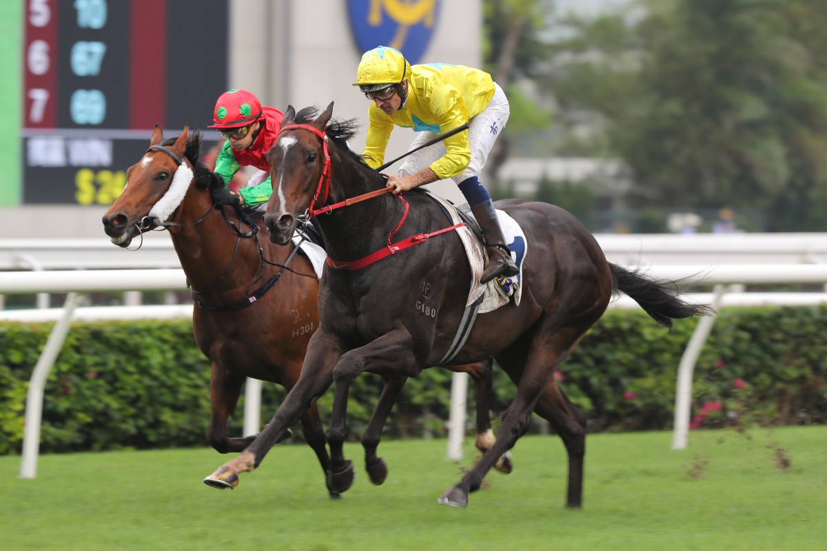 Lucky Sweynesse (outside) sees off Invincible Sage to win Sunday’s Group Two Sprint Cup (1,200m) at Sha Tin. Photos: Kenneth Chan