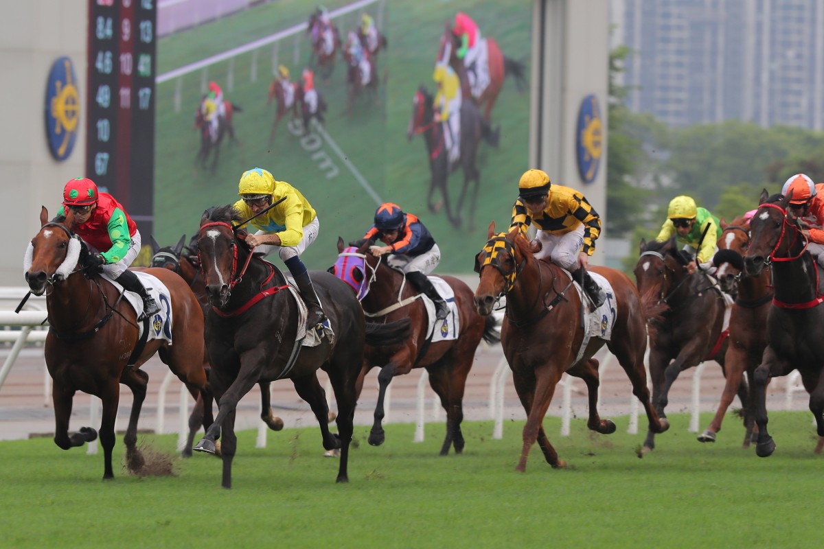 Lucky Sweynesse (yellow and blue colours) wins Sunday’s Group Two Sprint Cup (1,200m) at Sha Tin. Photos: Kenneth Chan