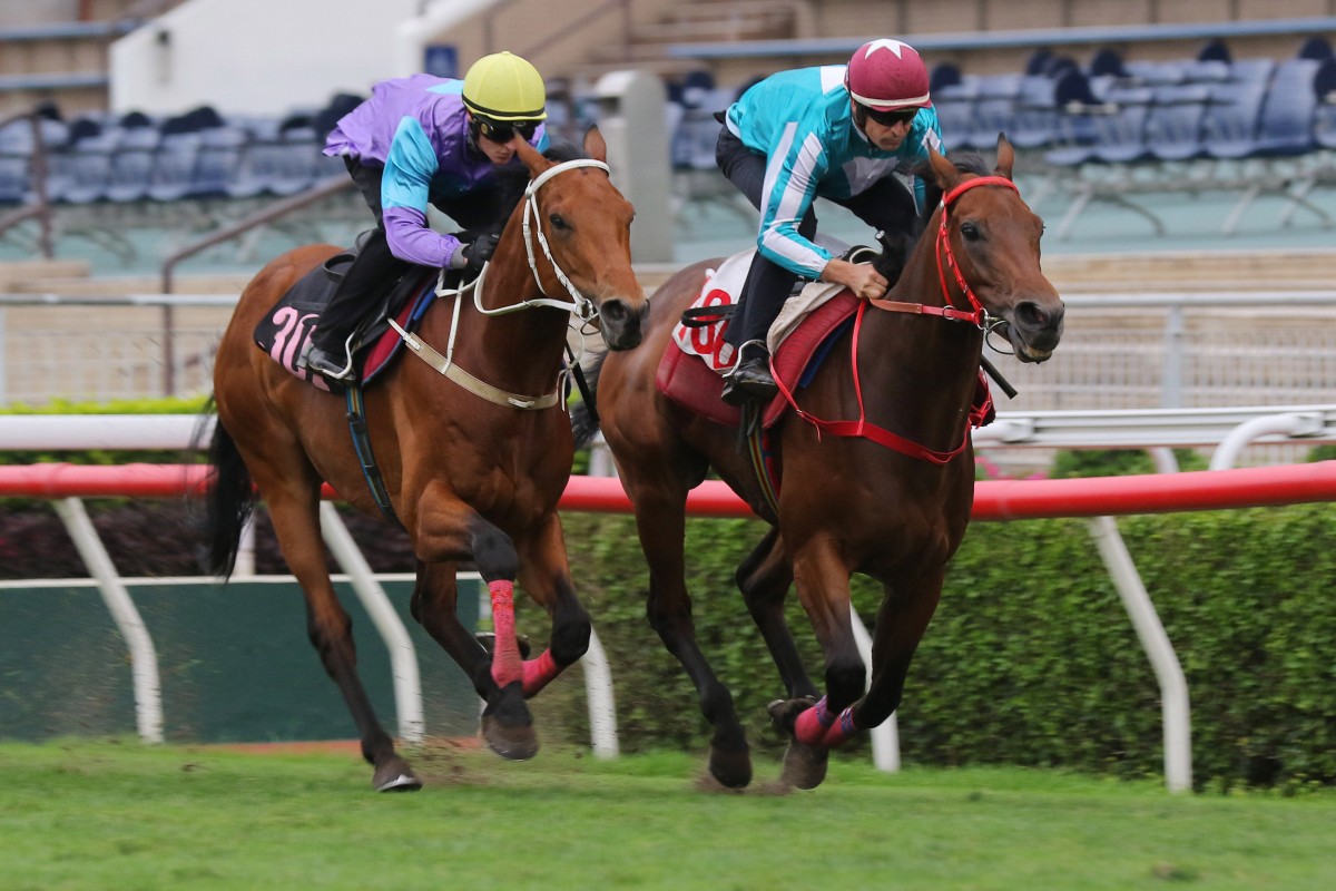 Romantic Warrior (right) cruises past Stunning Peach to win a Sha Tin trial. Photos: Kenneth Chan