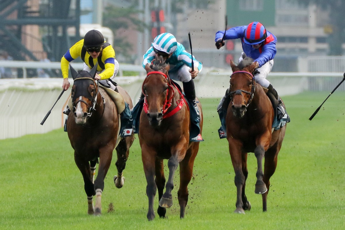 Romantic Warrior (middle) sees off Prognosis (left) and Dubai Honour (right) in last year’s Group One QE II Cup (2,000m). Photo: Kenneth Chan