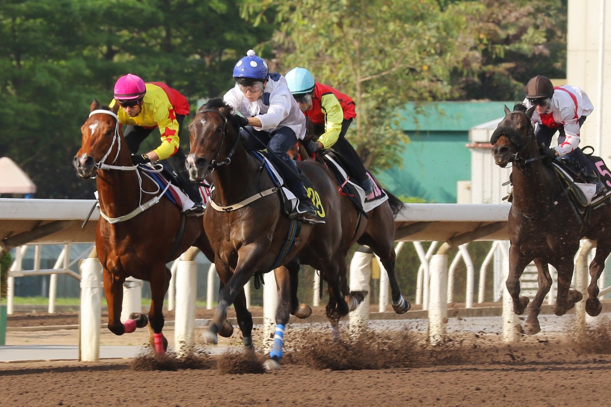 Plus Sixty Racing Golden Sixty and Galaxy Patch tune up for Champions Mile with strong ...