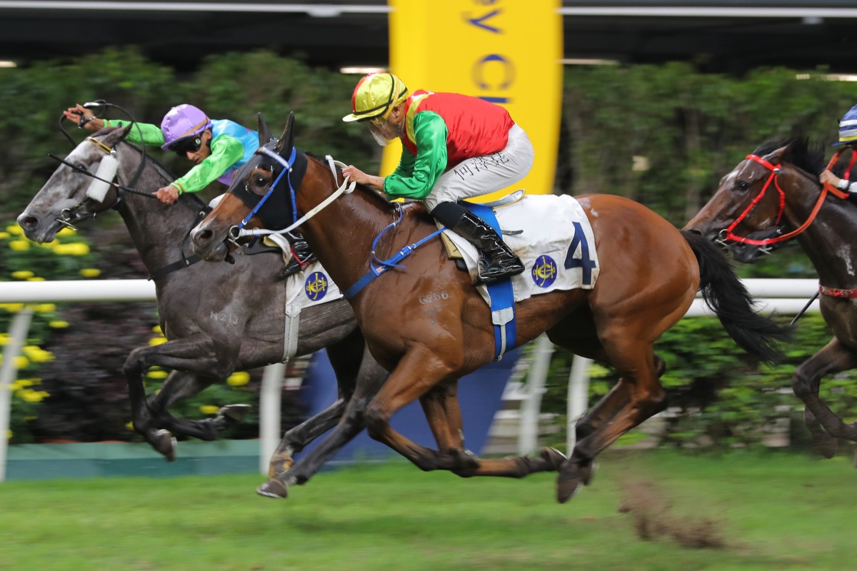 Jumbo Legend (outside) salutes at Happy Valley on Wednesday night. Photos: Kenneth Chan