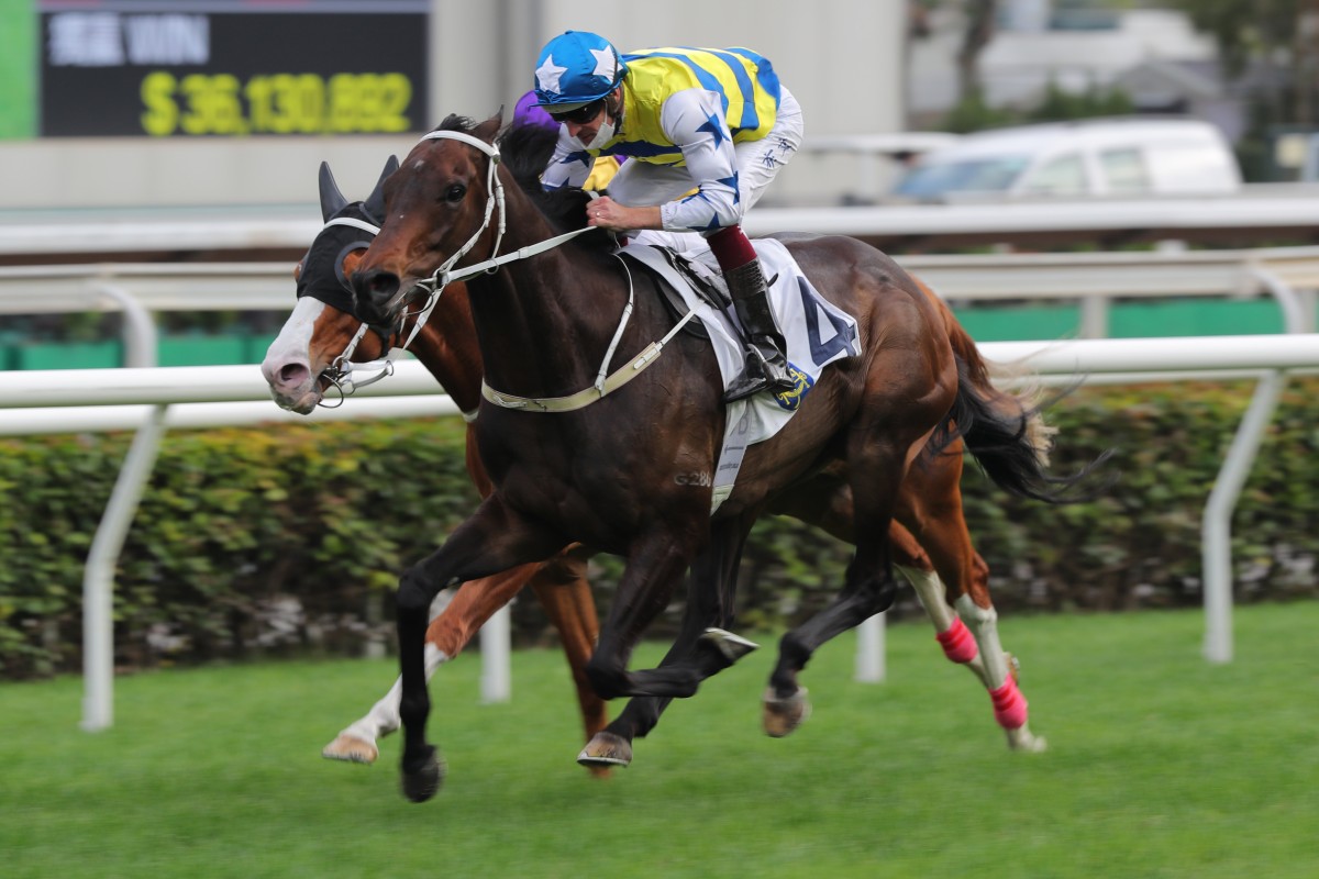 Five G Patch wins for Hugh Bowman at Sha Tin in January last year. He chases a breakthrough win at the same track on Sunday. Photos: Kenneth Chan