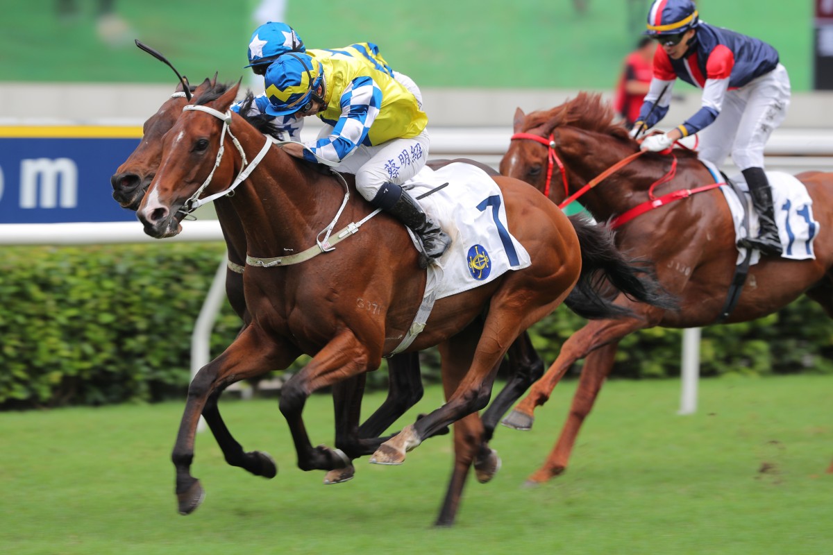 La City Blanche (outside) guns down stablemate Five G Patch to win the Queen Mother Memorial Cup at Sha Tin. Photos: Kenneth Chan