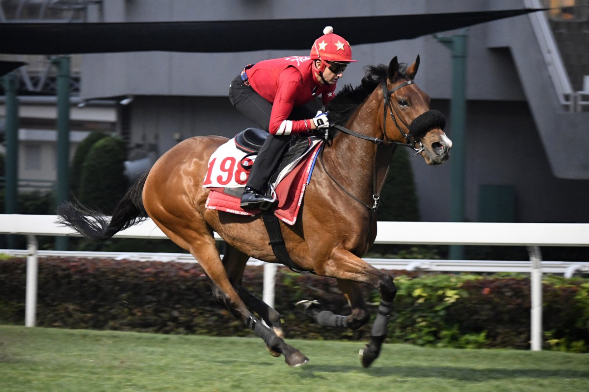 Douglas Whyte gallops Russian Emperor at Sha Tin last month. Photo: Kenneth Chan