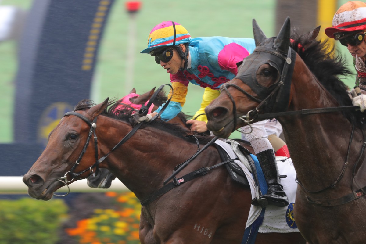 Taj Dragon takes out the Class One Racing Heritage Handicap at Sha Tin on Sunday. Photos: Kenneth Chan