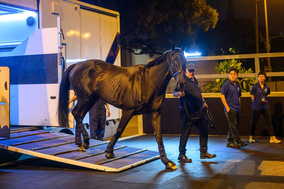 Rebel’s Romance arrives at Sha Tin on Saturday night. Photo: HKJC