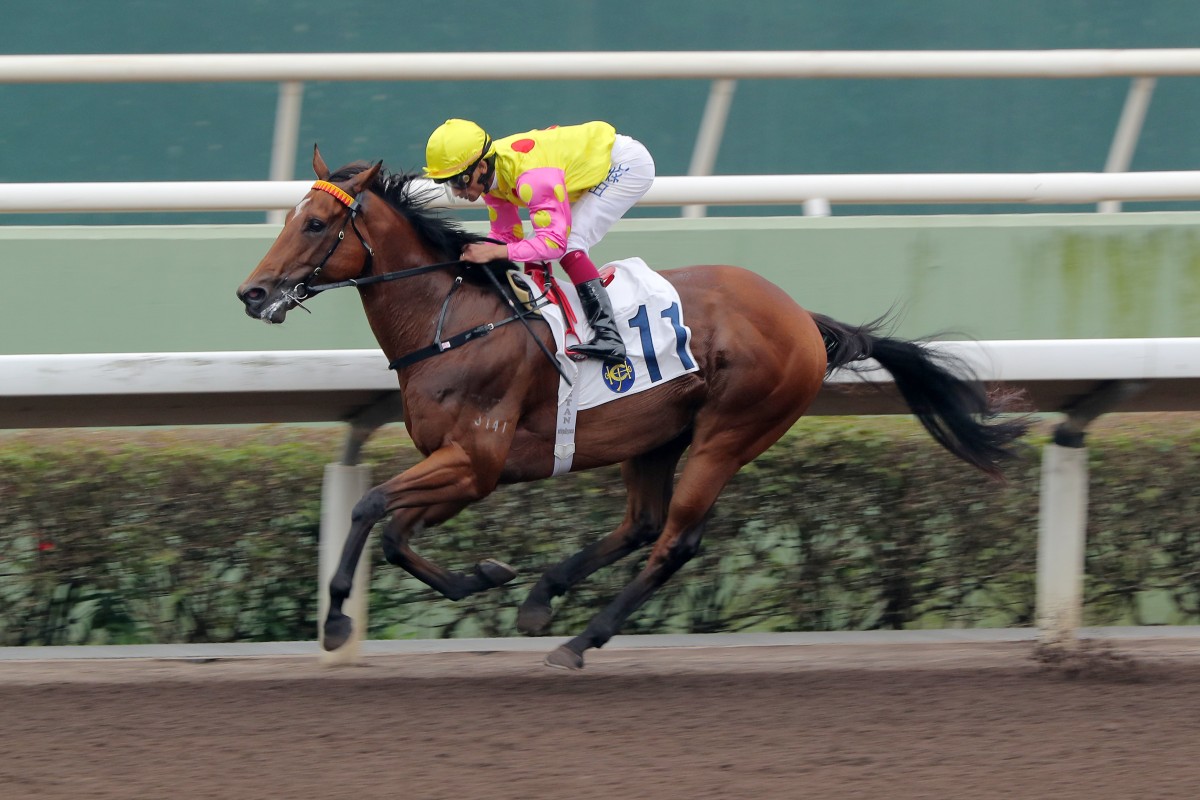 Sing Dragon wins at Sha Tin in March under Karis Teetan. Photo: Kenneth Chan