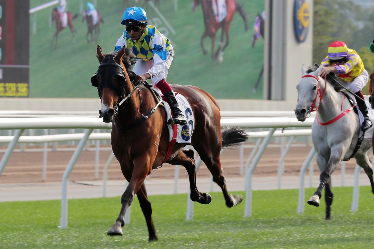 Galaxy Patch takes out a Class Two at Sha Tin in January. Photos: Kenneth Chan