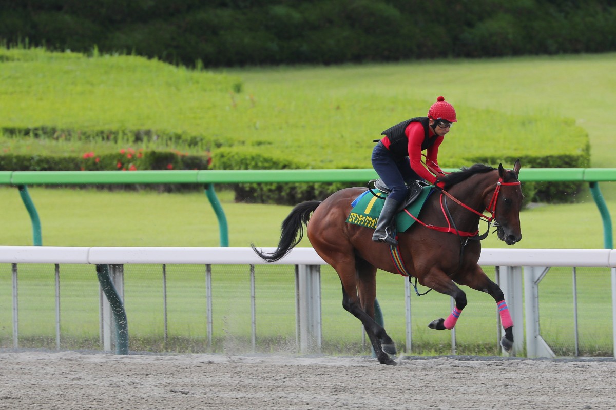 Romantic Warrior works on the Tokyo dirt track on Thursday morning. Photos: Kenneth Chan