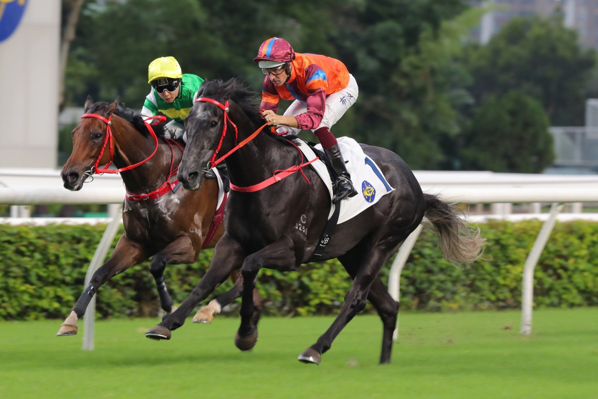 The Winnabe maintains his unbeaten record at Sha Tin on Saturday. Photos: Kenneth Chan