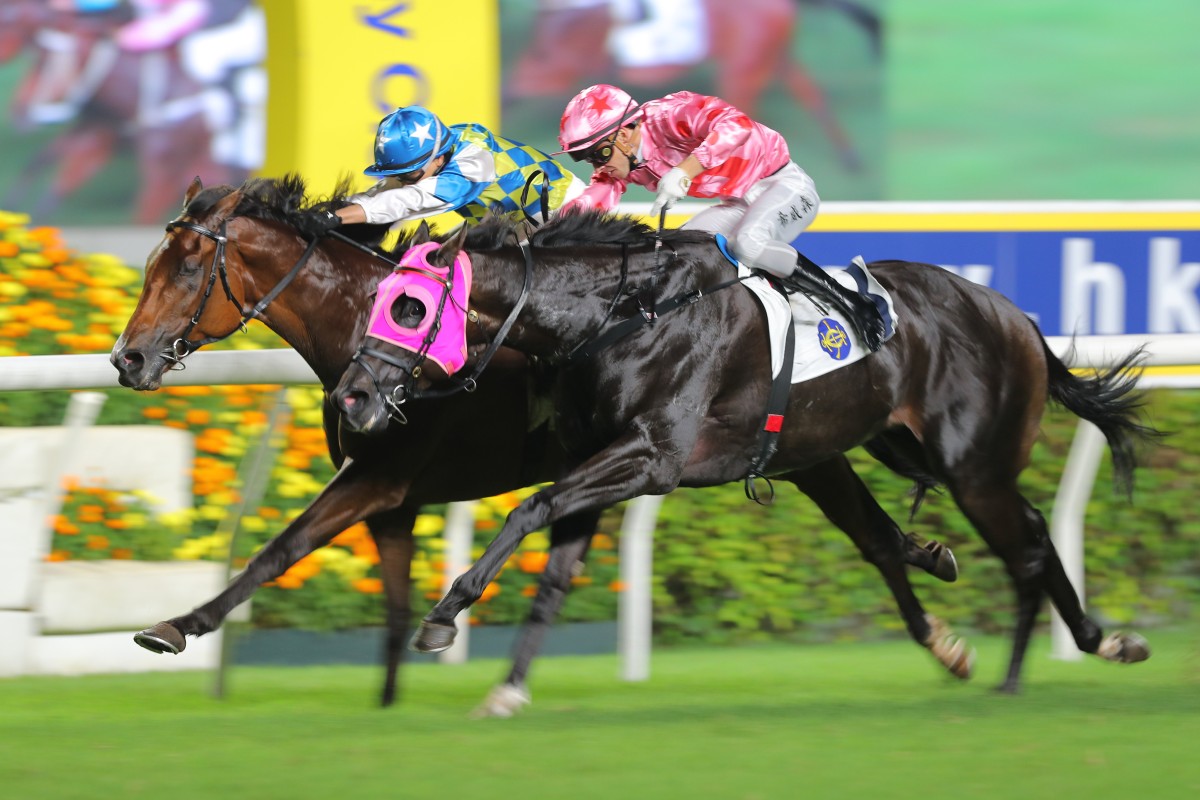 Galaxy Patch (inside) wins the Lion Rock Trophy over Chancheng Glory. Photos: Kenneth Chan