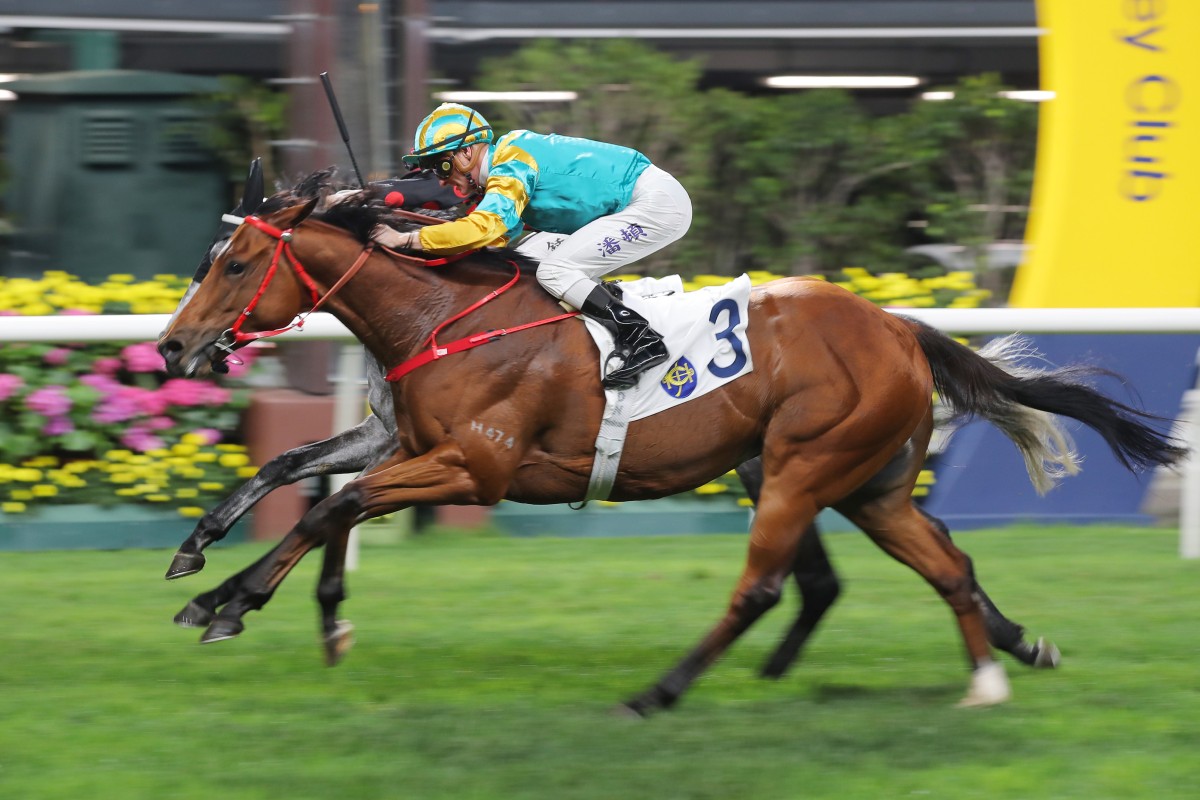 Moments In Time passes the Happy Valley winning post for a second victory under Zac Purton. Photos: Kenneth Chan