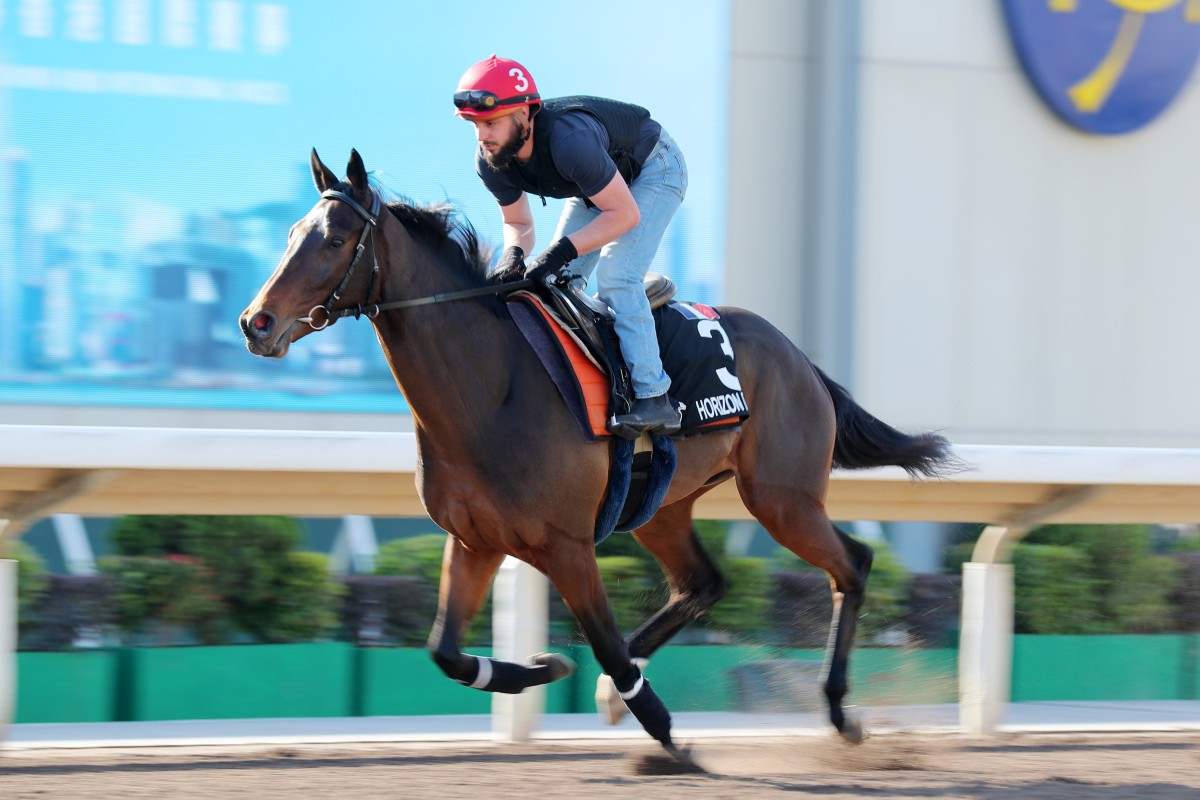 Horizon Dore works at Sha Tin in the lead up to December’s Hong Kong Cup. Photo: Kenneth Chan