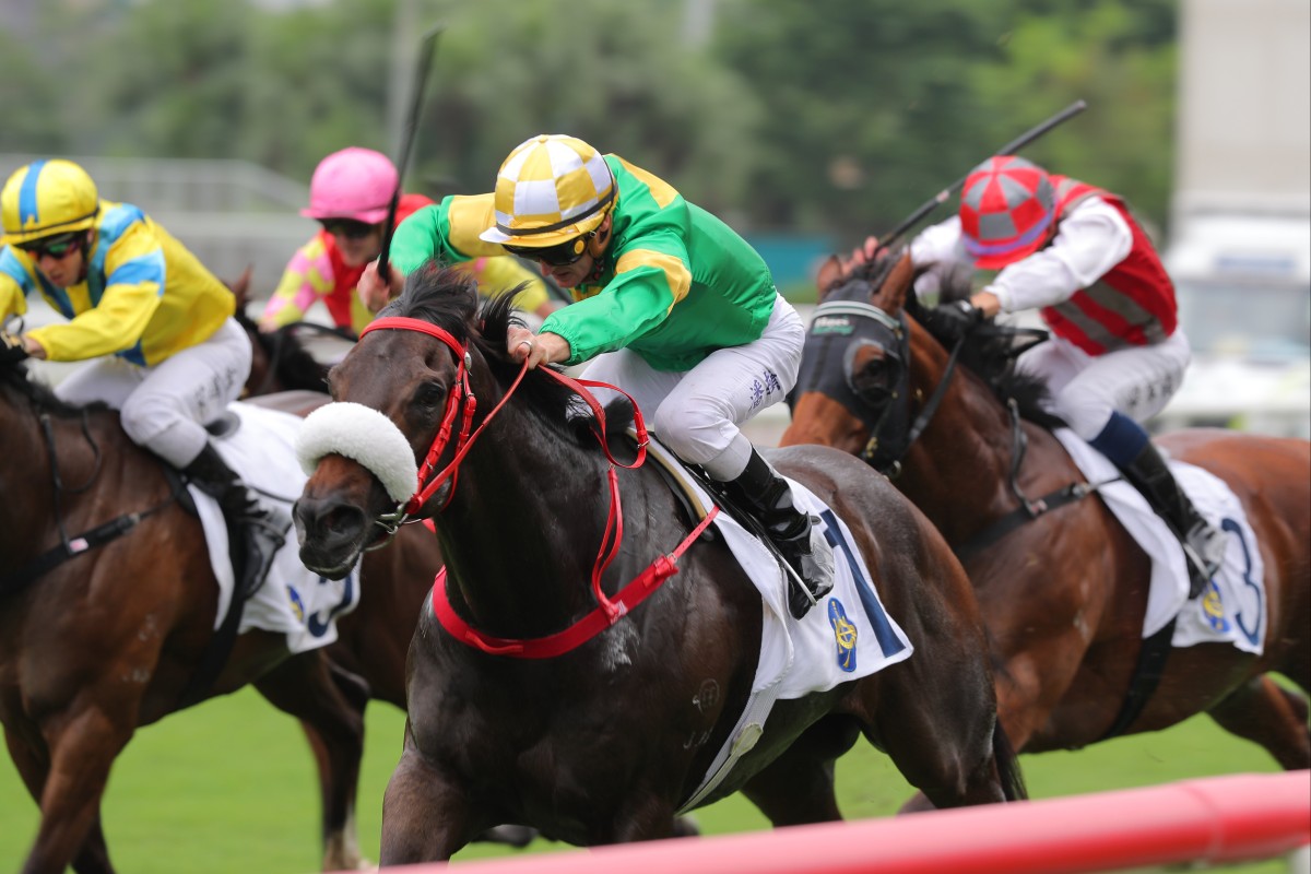 Bottomuptogether records his second win at Sha Tin last month. Photo: Kenneth Chan