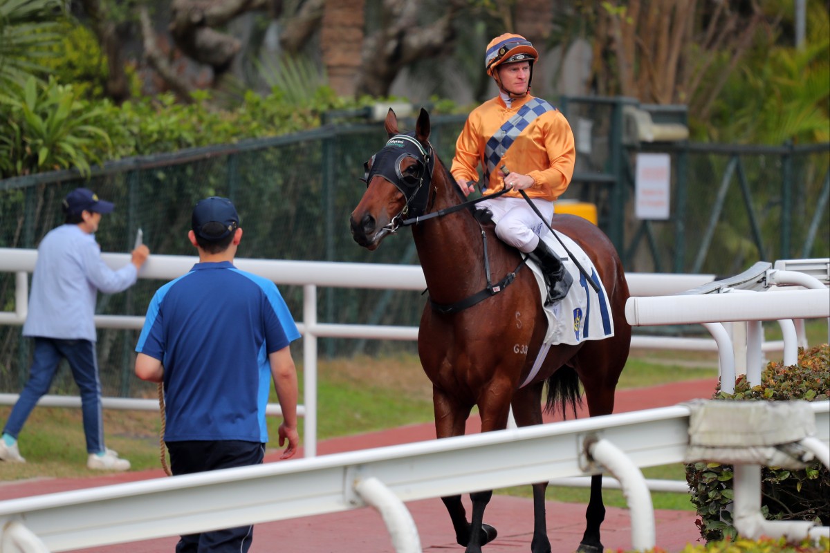 Global Harmony refuses to leave the gates for a second time at Sha Tin. Photos: Kenneth Chan