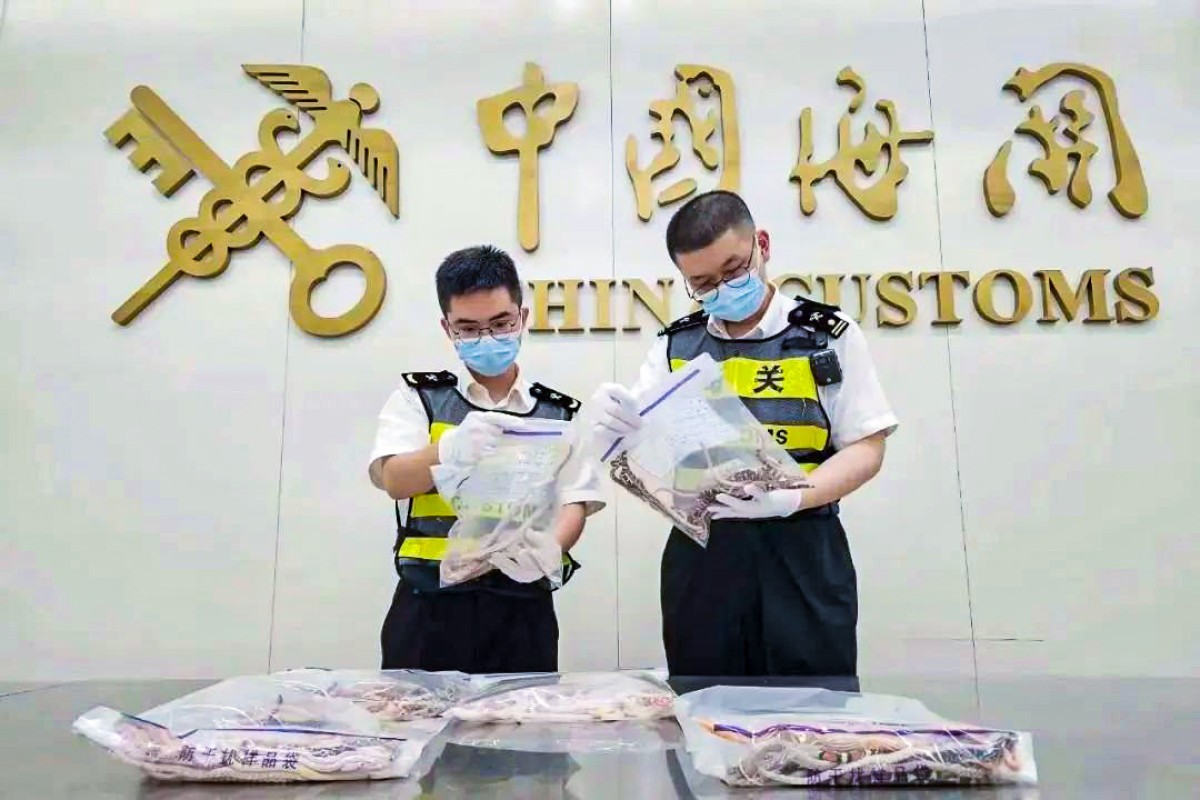 100 slithering snakes found in man’s trousers at Hong Kong-Shenzhen ...
