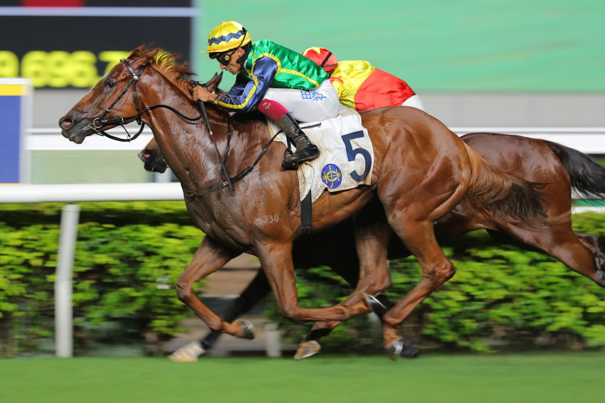 Mugen is bound for the Sprinters Stakes in Japan next season. Photos: Kenneth Chan