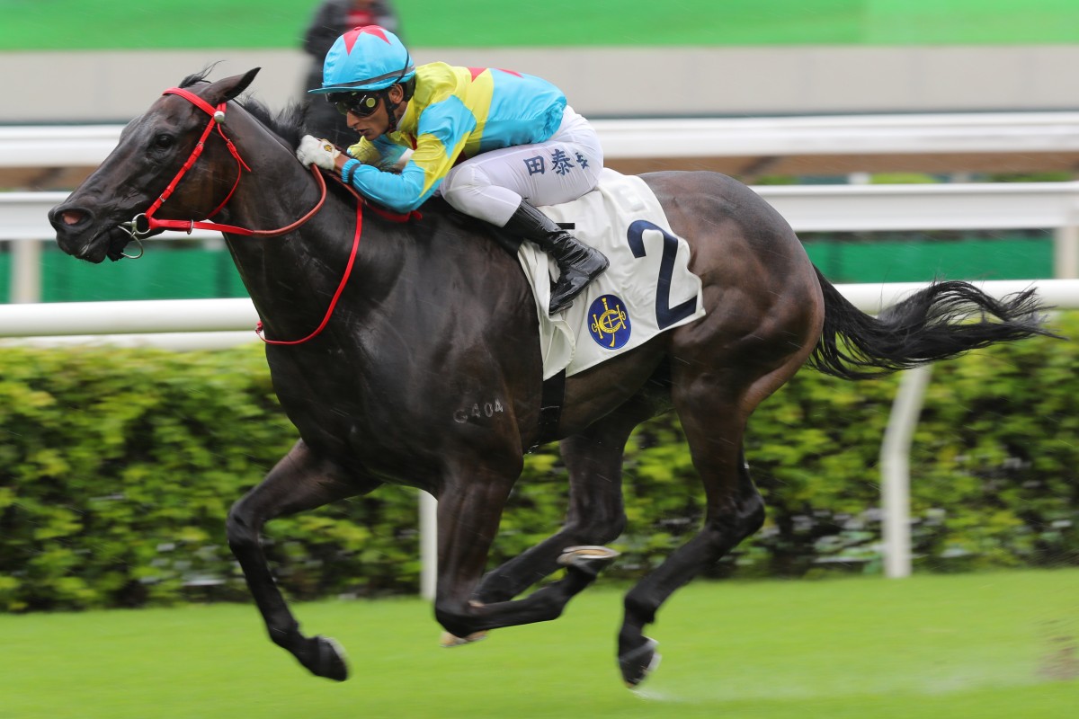 Victor The Winner takes out last season’s Class One HKSAR Chief Executive’s Cup (1,200m). Photo: Kenneth Chan