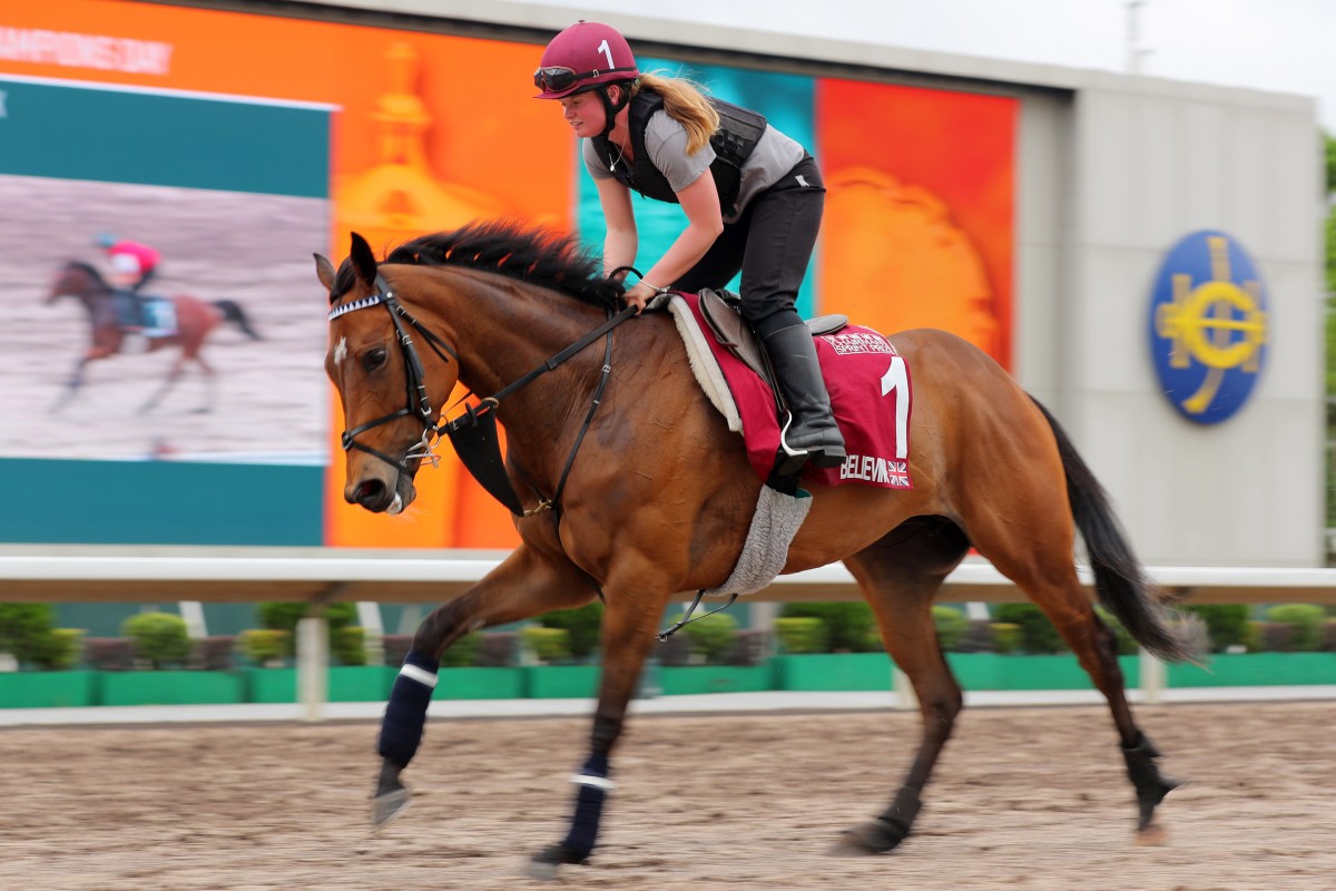 Believing gallops at Sha Tin ahead of April’s Group One Chairman’s Sprint Prize (1,200m). Photo: Kenneth Chan