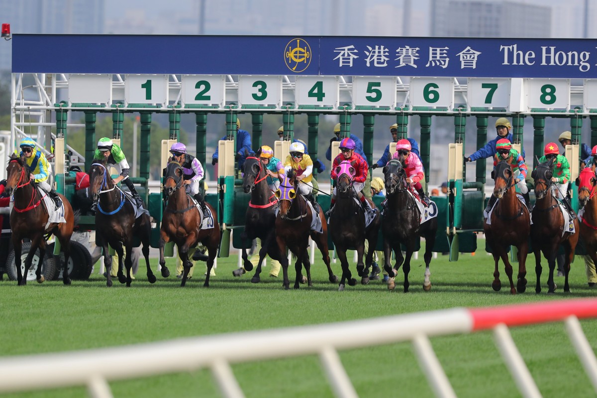 Racing at Sha Tin last season. Photos: Kenneth Chan