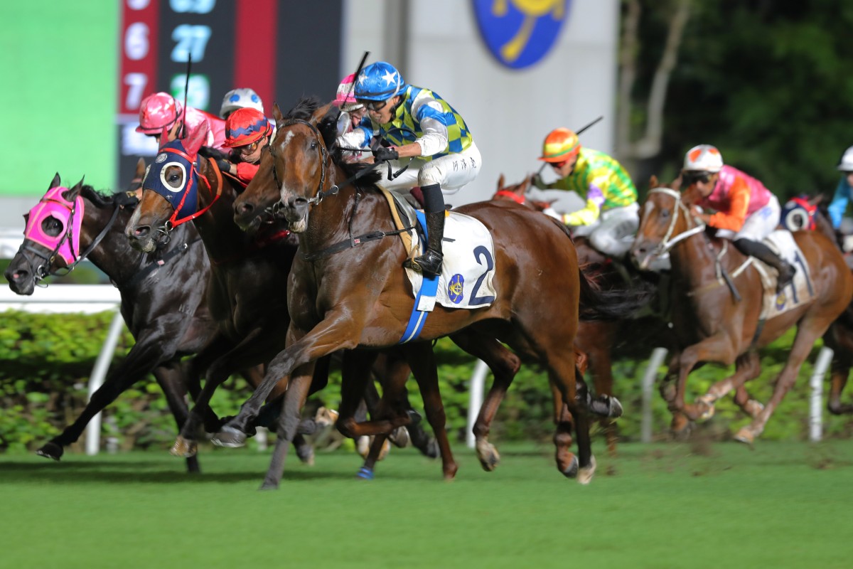 The exciting Galaxy Patch is expected to be one of the stars of the 2024-25 Hong Kong season. Photos: Kenneth Chan